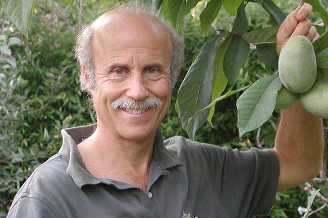 Digging Deeper: Uncommon Fruits for Every Garden